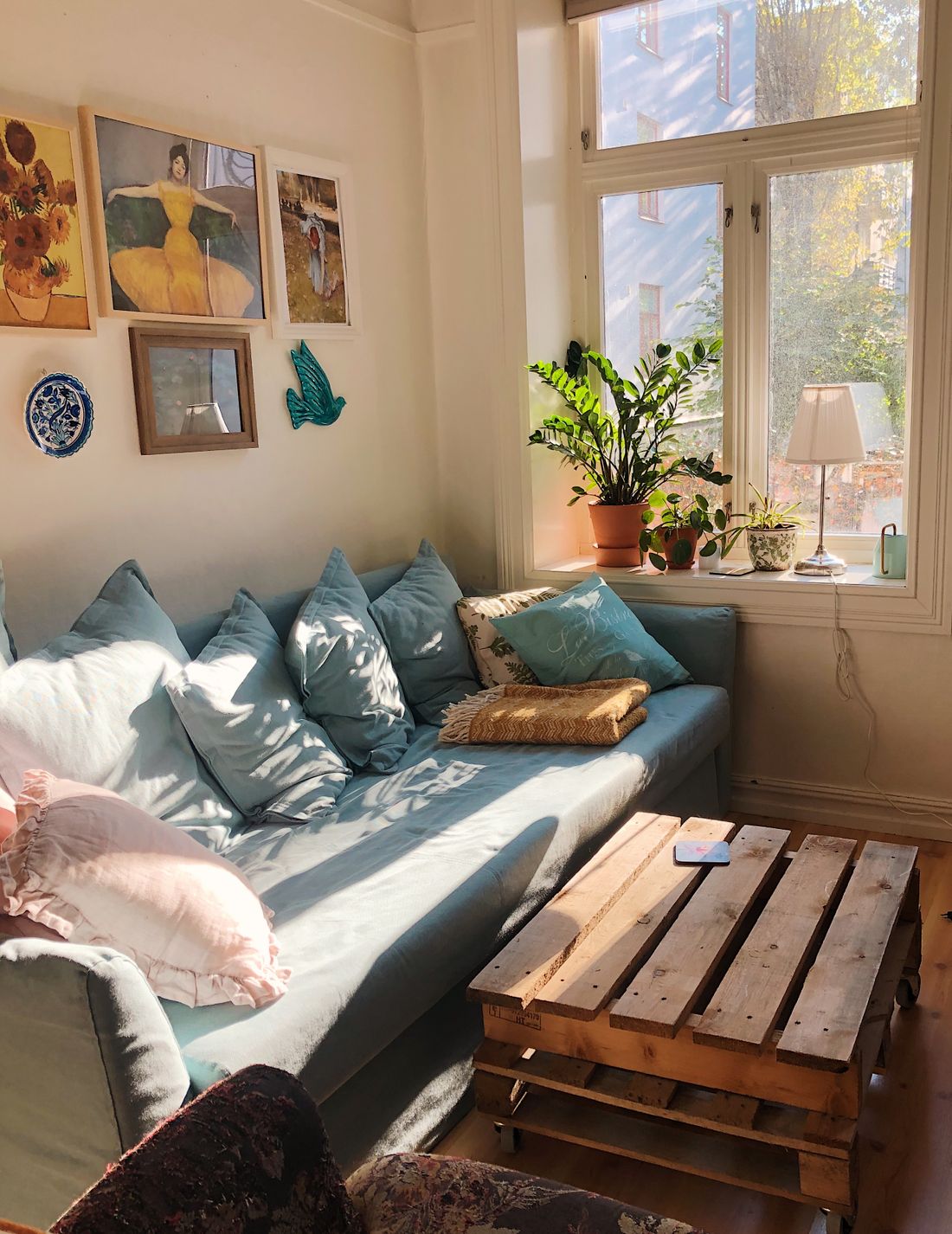 A sunny, lived-in lounge with a blue sofa and plants